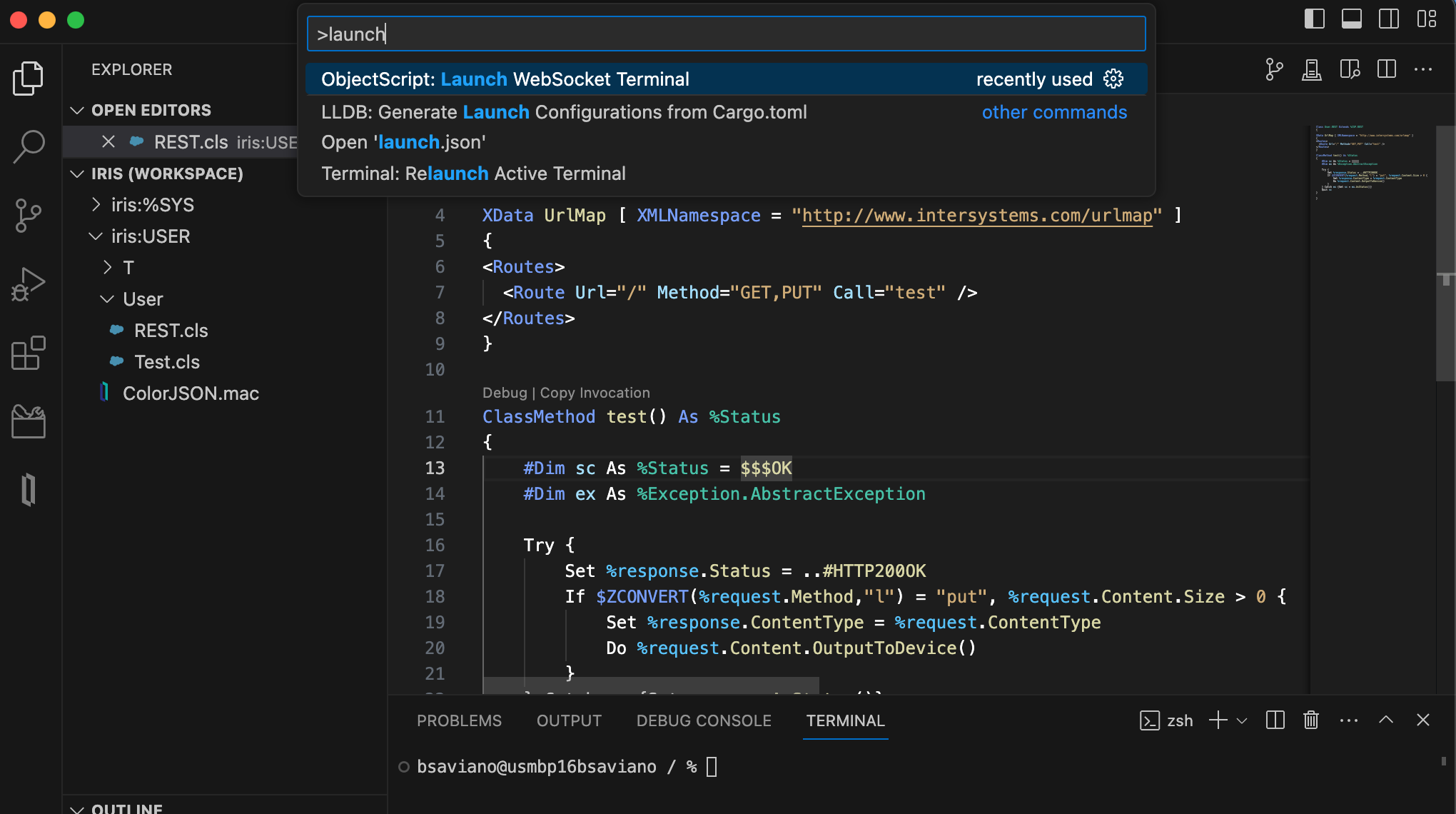 Launch WebSocket Terminal command